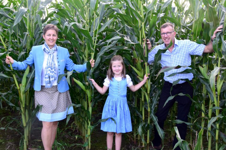 Familie im Maisfeld